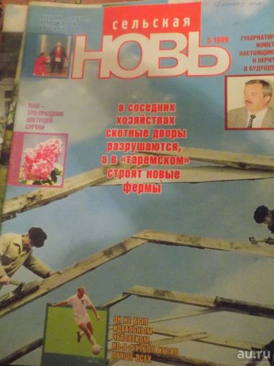 Лот: 8704238. Фото: 1. журнал сельская новь 1999-5. Другое (дом, сад, досуг)