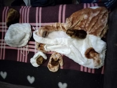 Лот: 21131687. Фото: 1. Новогодний детский костюм Собачка... Детские карнавальные, праздничные костюмы
