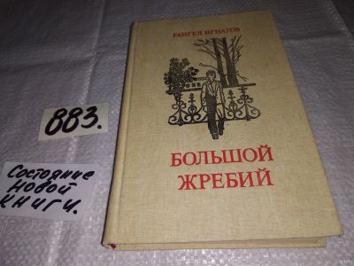 Лот: 13433646. Фото: 1. Игнатов Р. Большой жребий (883... Художественная