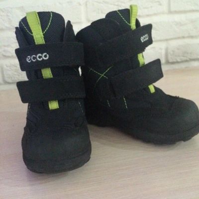 Лот: 9554620. Фото: 1. Сапожки д\с б\у 24 р-р Ecco. Сапоги
