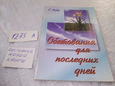 Лот: 19330903. Фото: 1. Обетования для последних дней... Религия, оккультизм, эзотерика