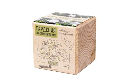 Лот: 10966041. Фото: 1. Экокуб (подарок к 8 марта) Набор... Подарки на 8 марта