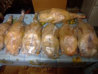 Лот: 6525359. Фото: 1. Мясо домашнего гуся. Мясо, птица, яйцо