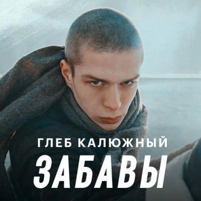 Лот: 24414124. Фото: 1. Глеб Калюжный — Забавы. Видеозаписи, фильмы
