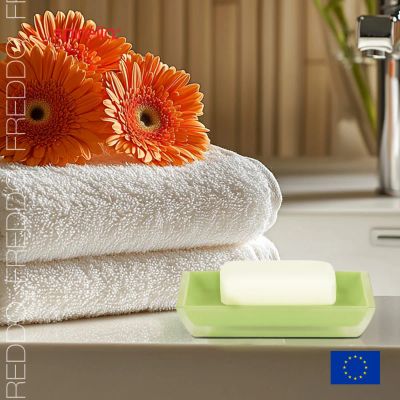 Лот: 24943326. Фото: 1. Мыльница Spirella Freddo, цвет... Аксессуары для ванной
