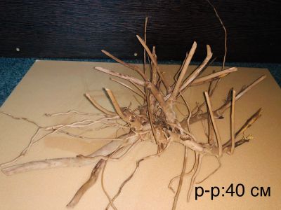 Лот: 18628281. Фото: 1. Коряга корень Сакуры 40 см. Грунты, украшения, наполнения