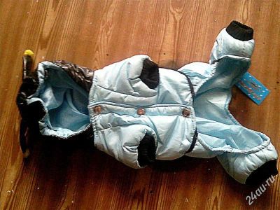 Лот: 3552203. Фото: 1. Комбинизон, зимний. Ошейники, одежда, конное снаряжение