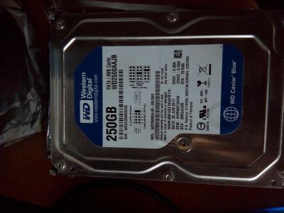 Лот: 10037338. Фото: 1. Жёсткий диск 250 GB Western Digital... Жёсткие диски (HDD)