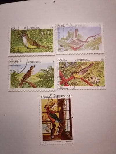 Лот: 24850248. Фото: 1. Фауна. Птицы. Куба 1978 год. Марки