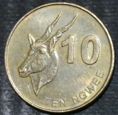 Лот: 14845714. Фото: 1. Экзотика с рубля (20479) Замбия. Остальные страны