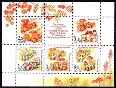Лот: 1056674. Фото: 1. 2003 (876-880) грибы двойники... Марки