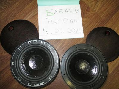 Лот: 3593740. Фото: 1. продам миды DLS r6a LE. Акустика автомобильная