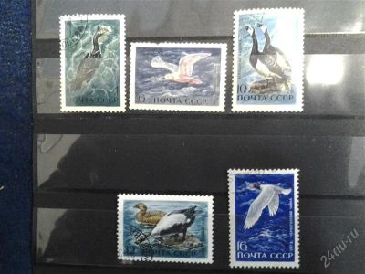 Лот: 2517323. Фото: 1. 1972 пернатые обитатели прибрежий... Марки