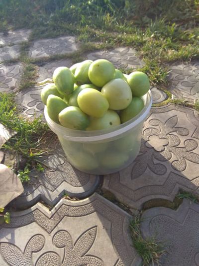 Лот: 19529917. Фото: 1. Домашние помидоры. Вкусные, сладкие... Овощи, фрукты, зелень