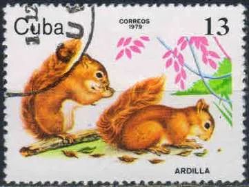 Лот: 25022576. Фото: 1. 1979. Куба. Молодые животные зоопарка... Марки