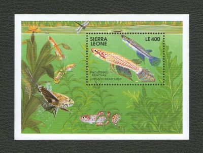 Лот: 16755575. Фото: 1. 1991 год. Сьерра-Леоне. Фауна... Марки