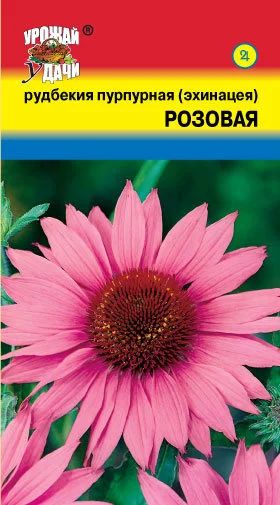 Лот: 12959280. Фото: 1. Семена рудбекии (эхинацеи) розовой... Садовые цветы