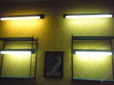Лот: 1729567. Фото: 1. Люминисцентные светильники с лампами... Другое освещение
