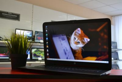 Лот: 15228432. Фото: 1. HP(17,3"/AMD A8-7410 4x2.20 GHz... Ноутбуки