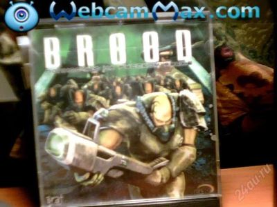 Лот: 1680554. Фото: 1. Breed. Игры для ПК