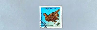Лот: 20065395. Фото: 1. Марки на тему " Фауна Земли ". Марки
