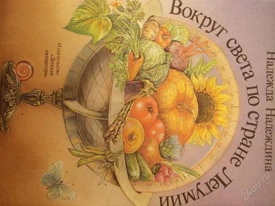 Лот: 2148270. Фото: 1. Надежда Надеждина "Во круг света... Другое (литература, книги)