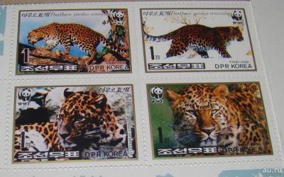 Лот: 10443152. Фото: 1. Корея (КНДР) 1998 MNH пс сц. Марки