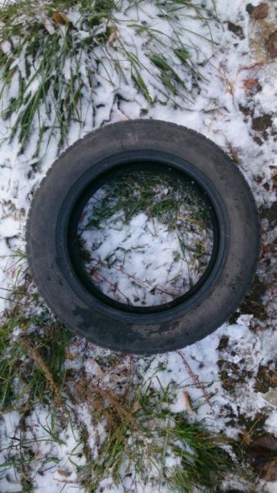 Лот: 14839858. Фото: 1. Шины зимние Pirelli 205/55/r16. Шины
