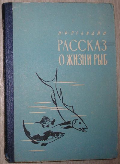 Лот: 21376173. Фото: 1. Рассказ о жизни рыб. Правдин Иван... Биологические науки