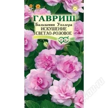 Лот: 2779764. Фото: 1. Бальзамин Искушение светло-розов... Другое (семена, рассада, садовые растения)