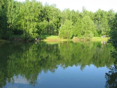 Лот: 9687055. Фото: 1. Дача калягино. Дачи