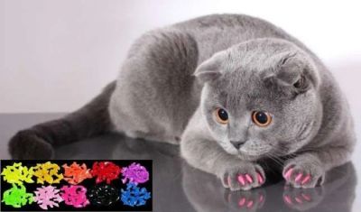 Лот: 9527311. Фото: 1. Антицарапки для кота/кошки. Другое (животные и уход)