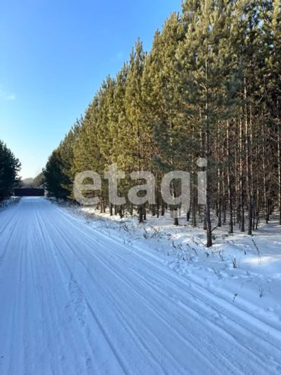 Лот: 24900957. Фото: 1. Продам участок 16 сот. Новосибирское... Земельные участки