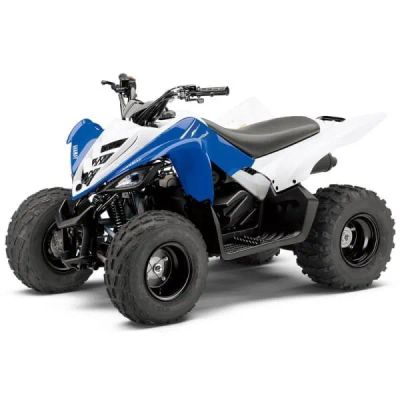 Лот: 25740265. Фото: 1. Квадроцикл YAMAHA YFM90R (Raptor... Снегоходы, квадроциклы