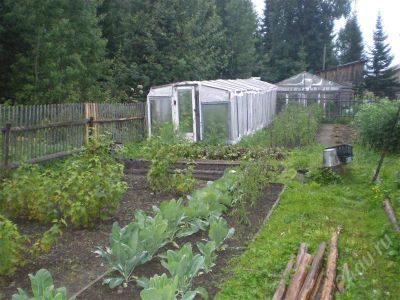 Лот: 464414. Фото: 1. продам отличную дачу. Дачи