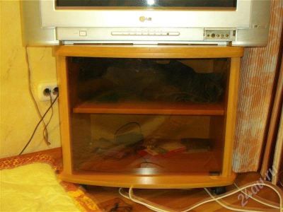 Лот: 682273. Фото: 1. тв тумба. Другое (мебель)