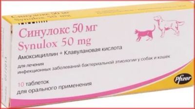 Лот: 21436699. Фото: 1. Синулокс таблетки 50мг/10 таб. Косметика для животных