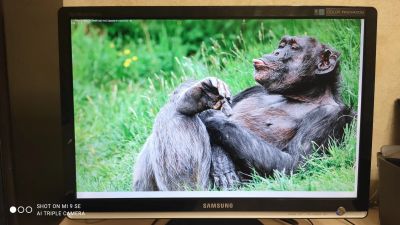 Лот: 17759494. Фото: 1. Монитор Samsung SyncMaster 226CW... ЖК-мониторы