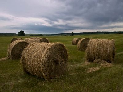 Лот: 14452722. Фото: 1. Сено в рулонах. Корма