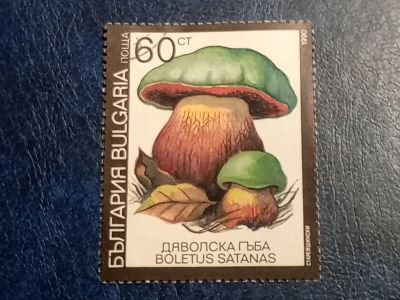 Лот: 25743768. Фото: 1. - Марки для Вашей коллекции. лот... Марки