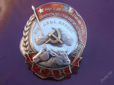Лот: 2448332. Фото: 1. орден труда р.Тува 1941 г. № 110. Памятные медали