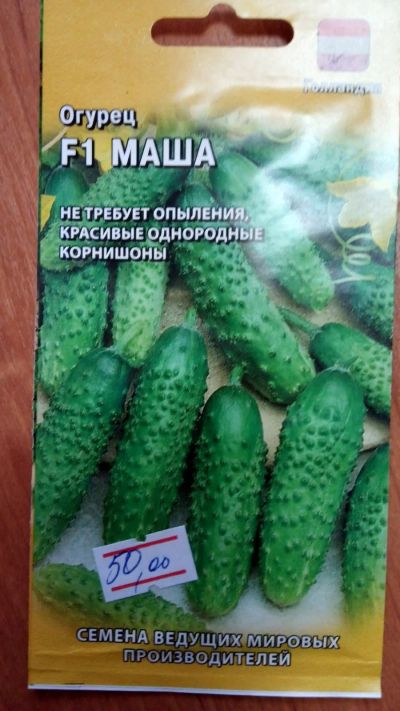 Лот: 15536237. Фото: 1. огурец F1 Маша. Овощи