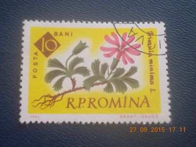 Лот: 6172227. Фото: 1. Почтовая марка-для Вашей коллекции... Марки