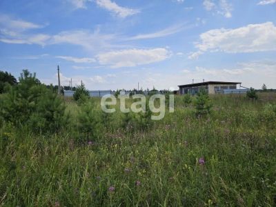 Лот: 23306069. Фото: 1. Продам участок 20 сот. Новосибирское... Земельные участки