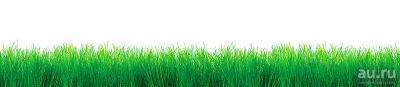 Лот: 13833045. Фото: 1. SP 146 Стеновые дизайн панели... Фартуки для кухни