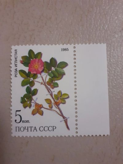 Лот: 23333085. Фото: 1. Марка 154. Марки