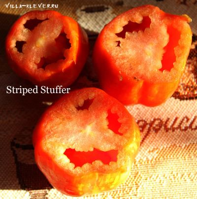 Лот: 9765782. Фото: 1. Рассада помидоры Striped Stuffer... Овощи