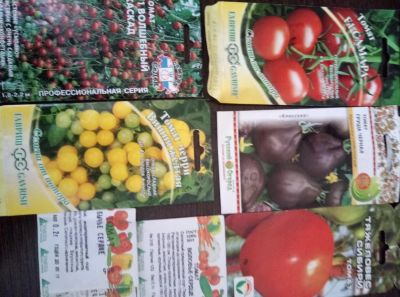 Лот: 10910819. Фото: 1. помидоры рассада. Овощи