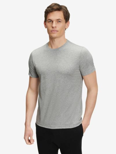 Лот: 24383851. Фото: 1. Мужская футболка FALKE, Серый. Другое (спортивная одежда)