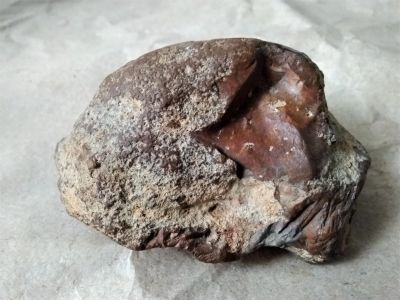 Лот: 14849611. Фото: 1. Метеорит каменный. Минералы и окаменелости